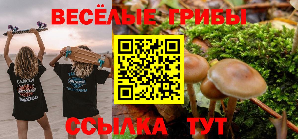 Псилоцибиновые грибы Magic Shrooms  Вход с VPN  Знаменск  Псилоцибиновые грибы мицелий 