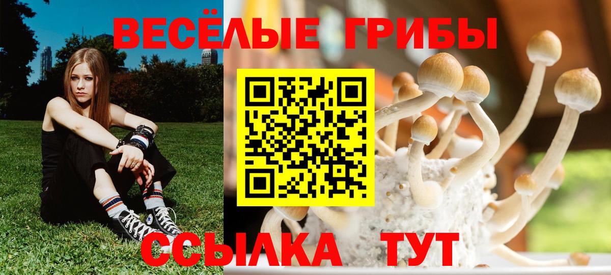Галлюциногенные грибы Psilocybine cubensis Знаменск